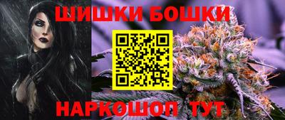 винт Сланцы