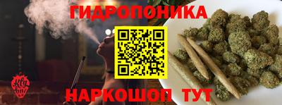 винт Сланцы