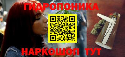 винт Сланцы