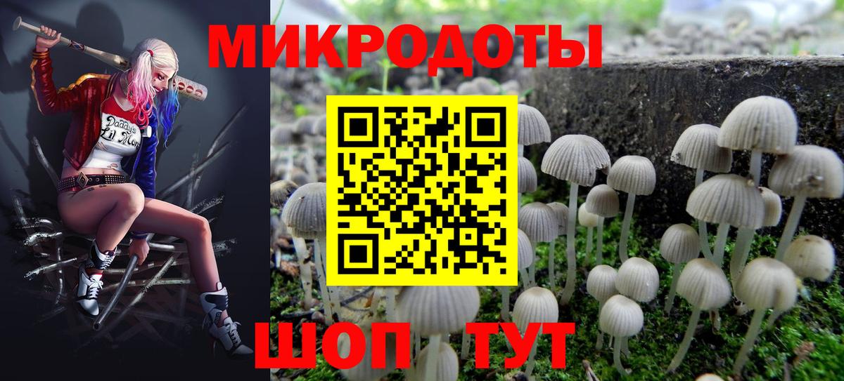 Галлюциногенные грибы прущие грибы  Вход с VPN  Ростов Великий  Псилоцибиновые грибы GOLDEN TEACHER 